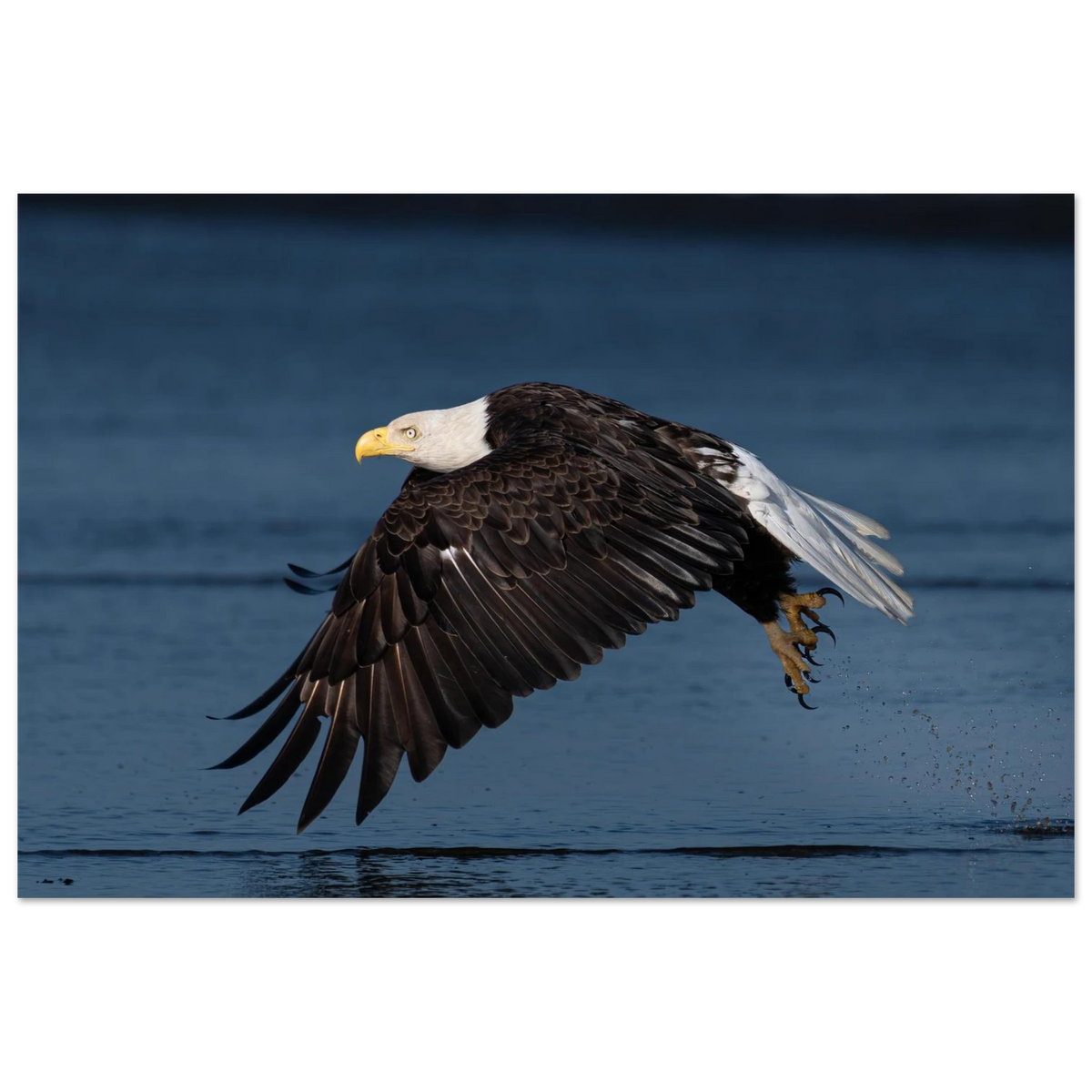 5f143e3f-71a2-4876-863f-b10d74e488ea