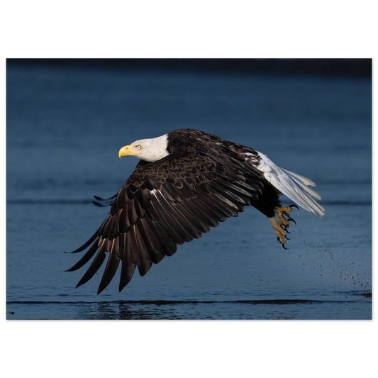 63a79295-55d0-471e-a90c-503e26f6ccbb