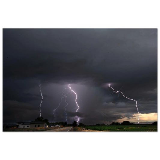 e8d12545-fa7f-4a2b-ace5-58785d251b3d