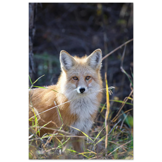 3b6b15e6-36e0-4e38-97d8-90215abd08fb