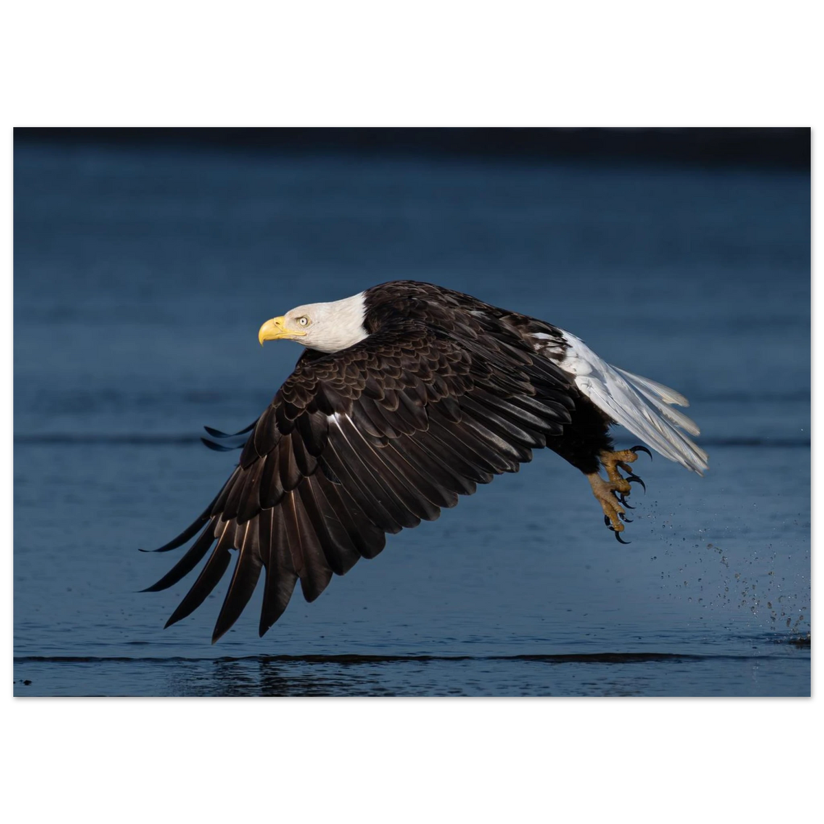63a79295-55d0-471e-a90c-503e26f6ccbb
