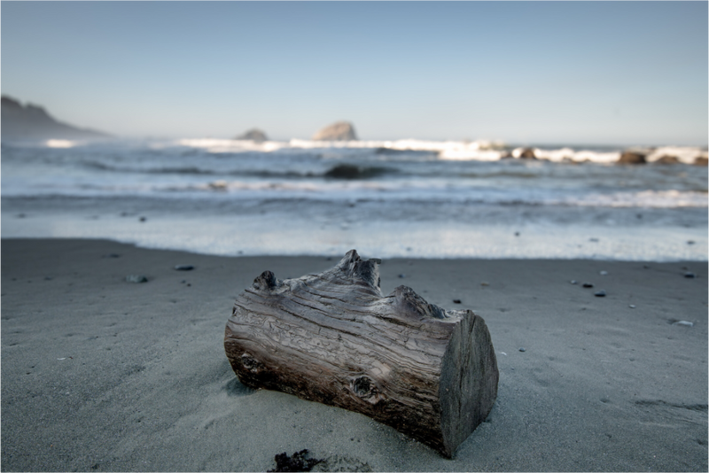 Main image Ash on the tide