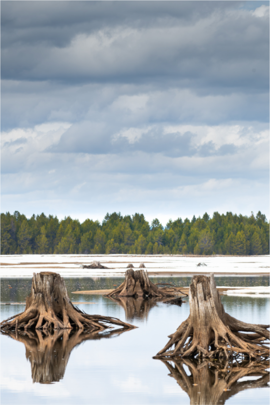 Main image Stillness in Three
