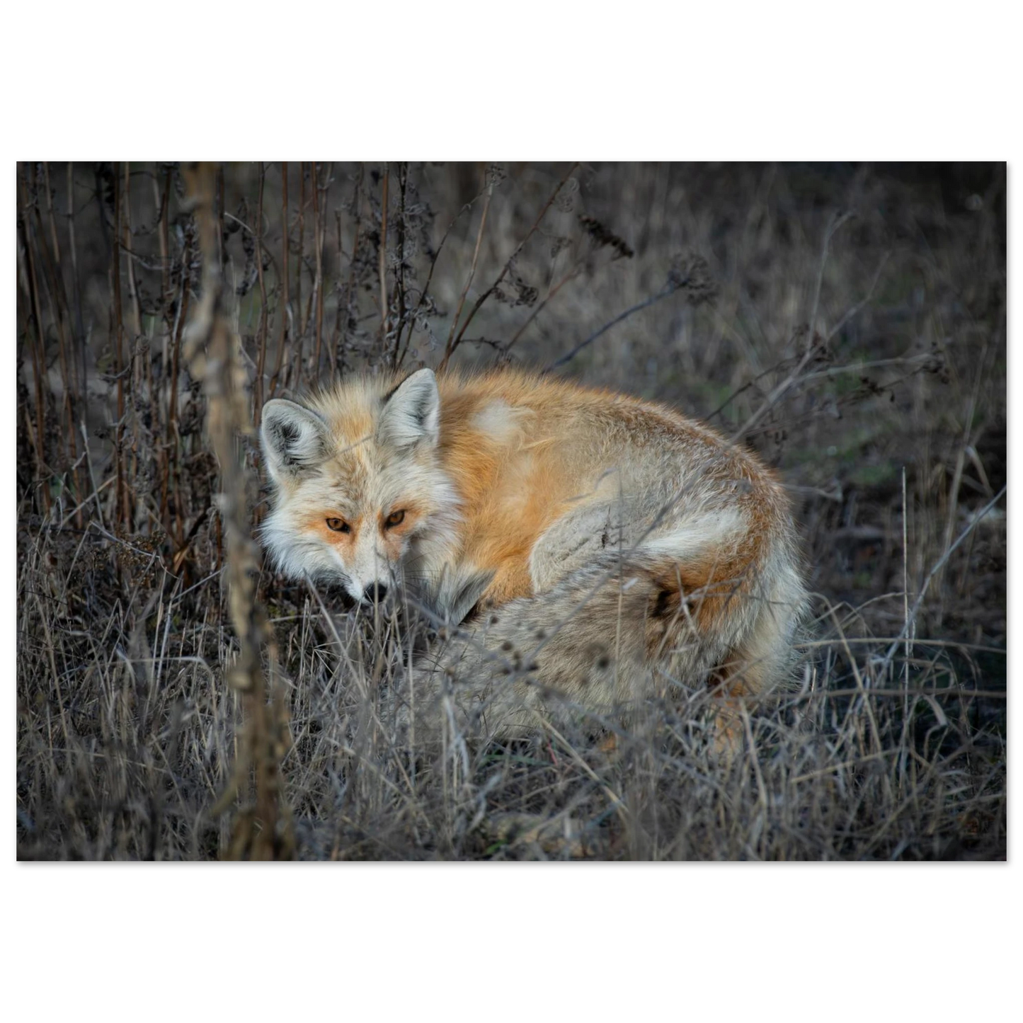 bc190120-c127-4833-b590-131faa324c34