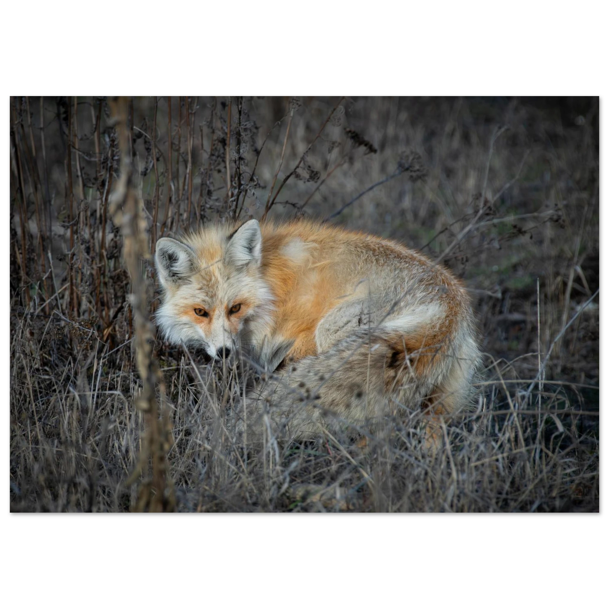 bc190120-c127-4833-b590-131faa324c34