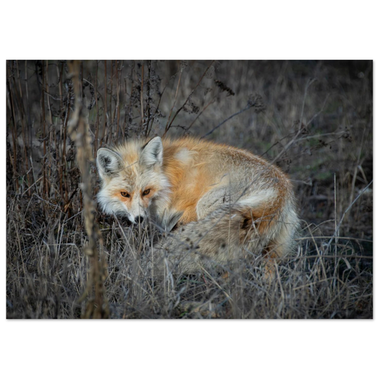 bc190120-c127-4833-b590-131faa324c34