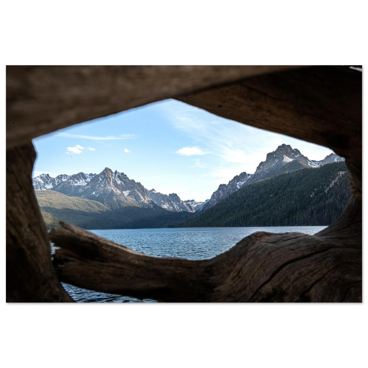 f0551fe6-20d6-48d5-aa7b-c756bf327438